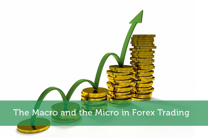 The Macro and the Micro in Forex Trading