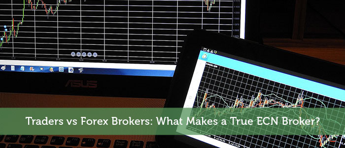 Traders vs Forex Brokers: What Makes a True ECN Broker?