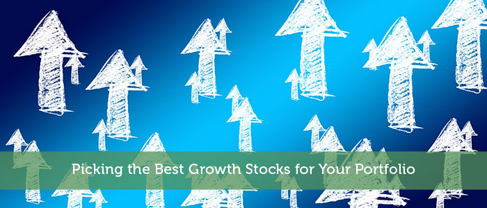 Picking the Best Growth Stocks for Your Portfolio