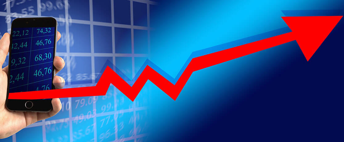 Individual Stocks or Index Funds