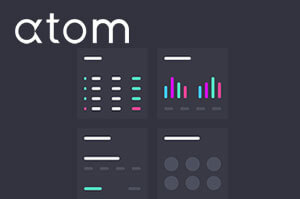 6 Tips for Getting the Most from Atom Finance
