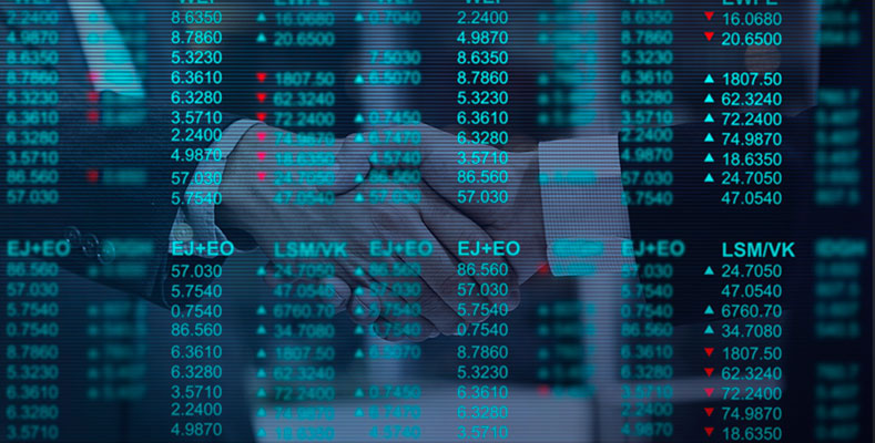 Stocks vs Index Funds The Urge to Risk It All